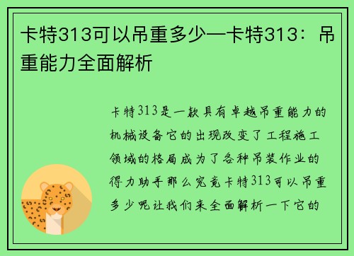 卡特313可以吊重多少—卡特313：吊重能力全面解析